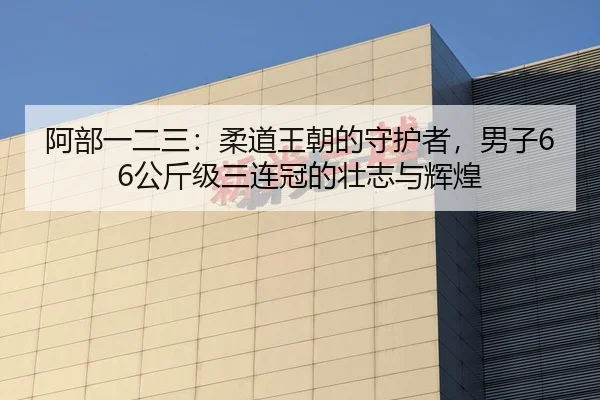 阿部一二三：柔道王朝的守护者，男子66公斤级三连冠的壮志与辉煌
