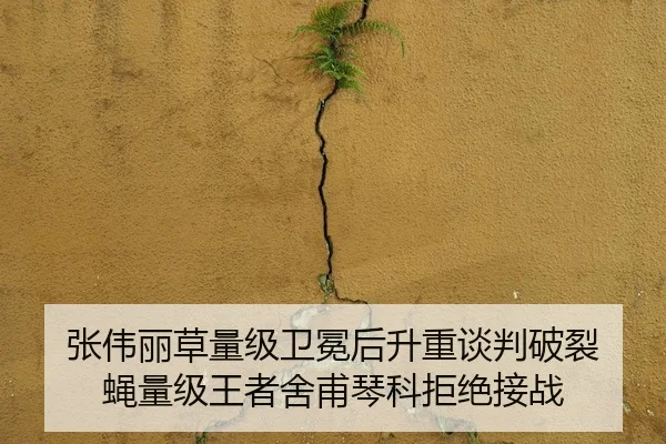 张伟丽草量级卫冕后升重谈判破裂 蝇量级王者舍甫琴科拒绝接战